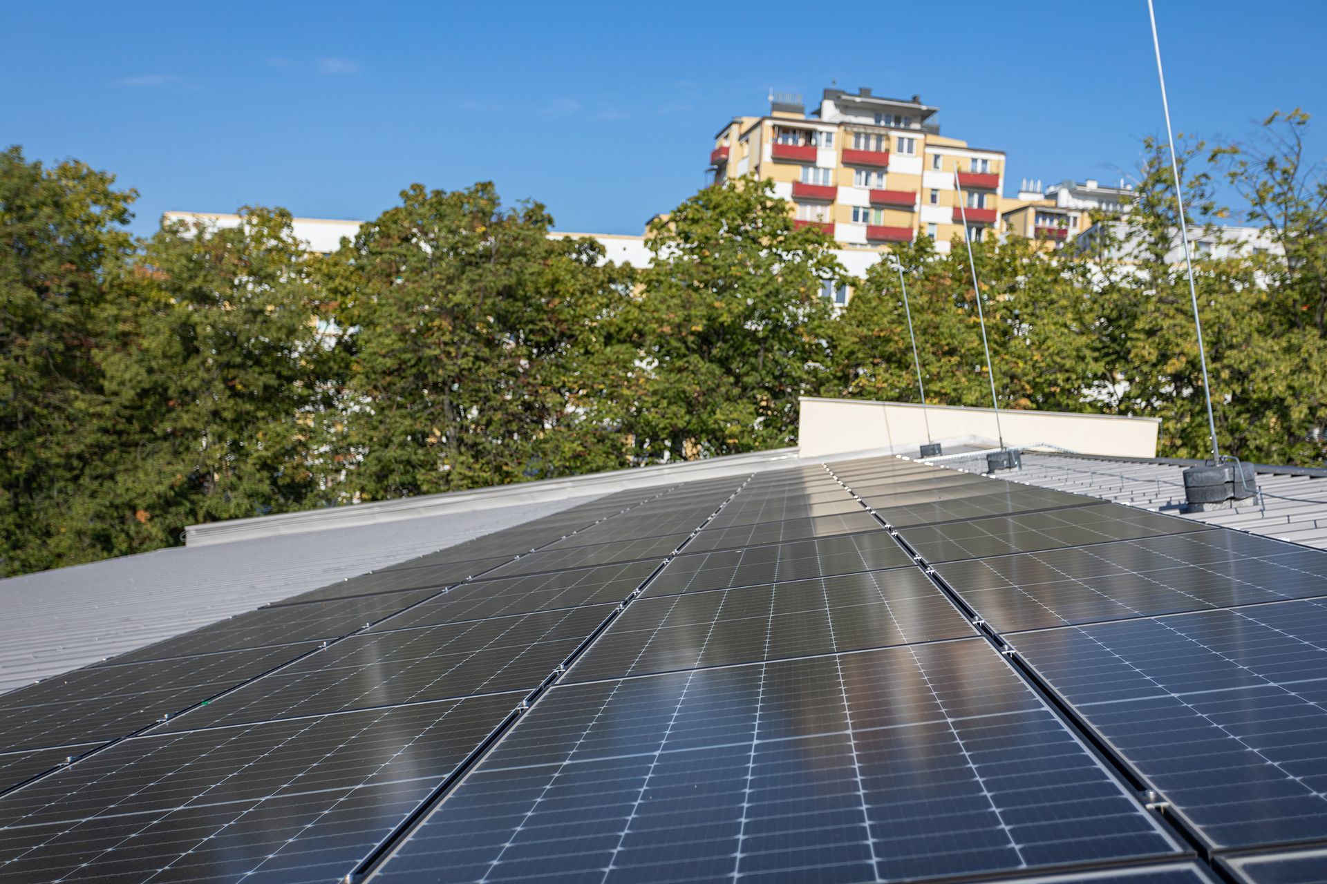 Solar panels on a rooftop with trees and a colorful apartment building in the background