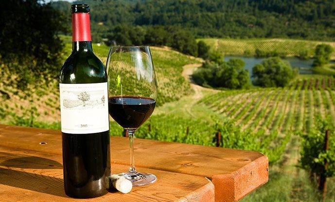 Bottle and glass of red wine on a wooden table, vineyard in the background.
