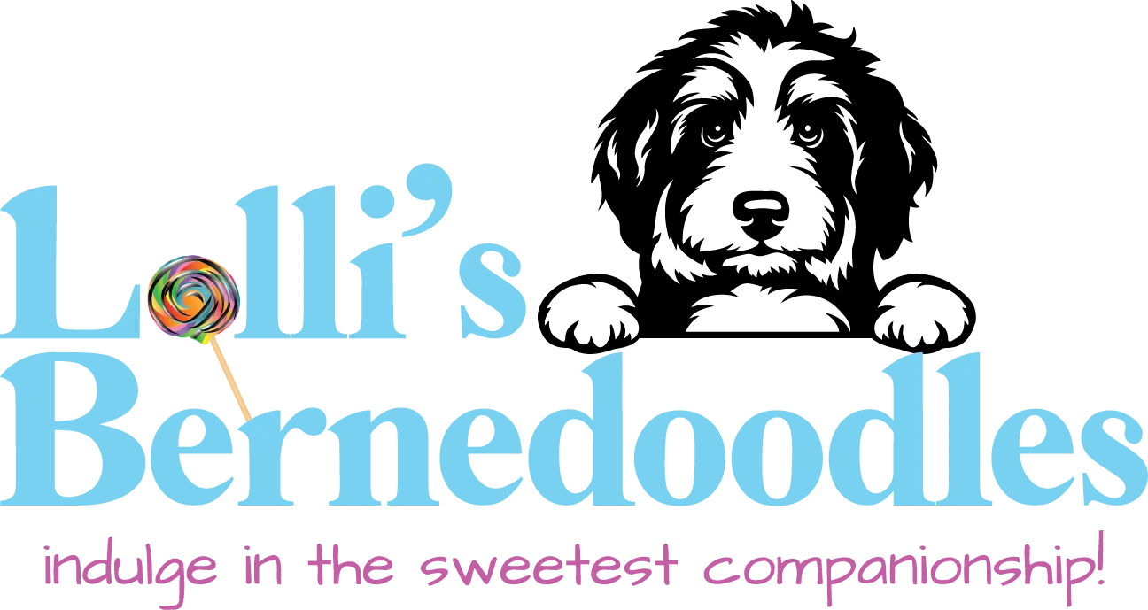 Lolli's Bernedoodles, LLC