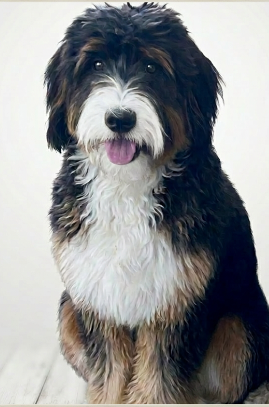 Rosie
