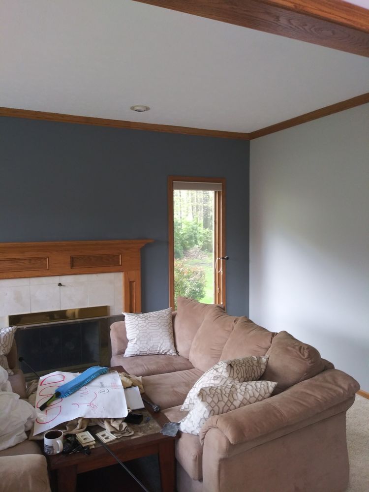 Cozy living room with a brown sectional sofa, fireplace, and a window with greenery. Dark blue accent wall.
