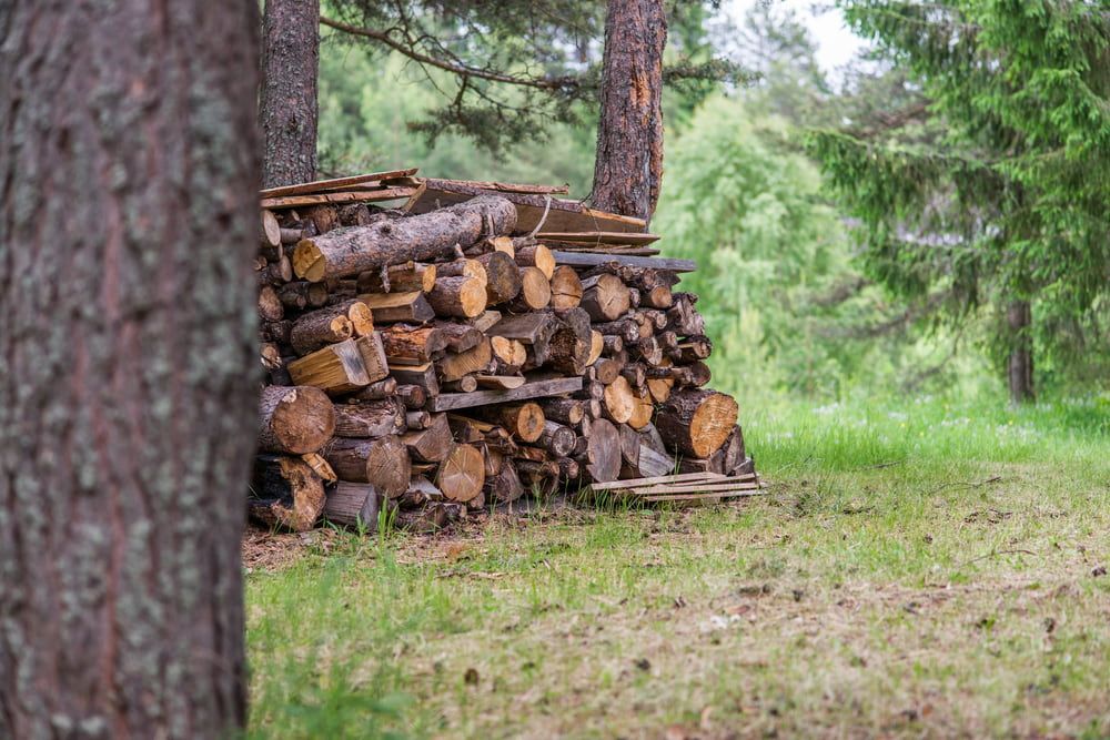 Pile of Firewood Sitting On Top Of A Lush Green Field — Emerald Tree Services Pty Ltd in Emerald, QLD