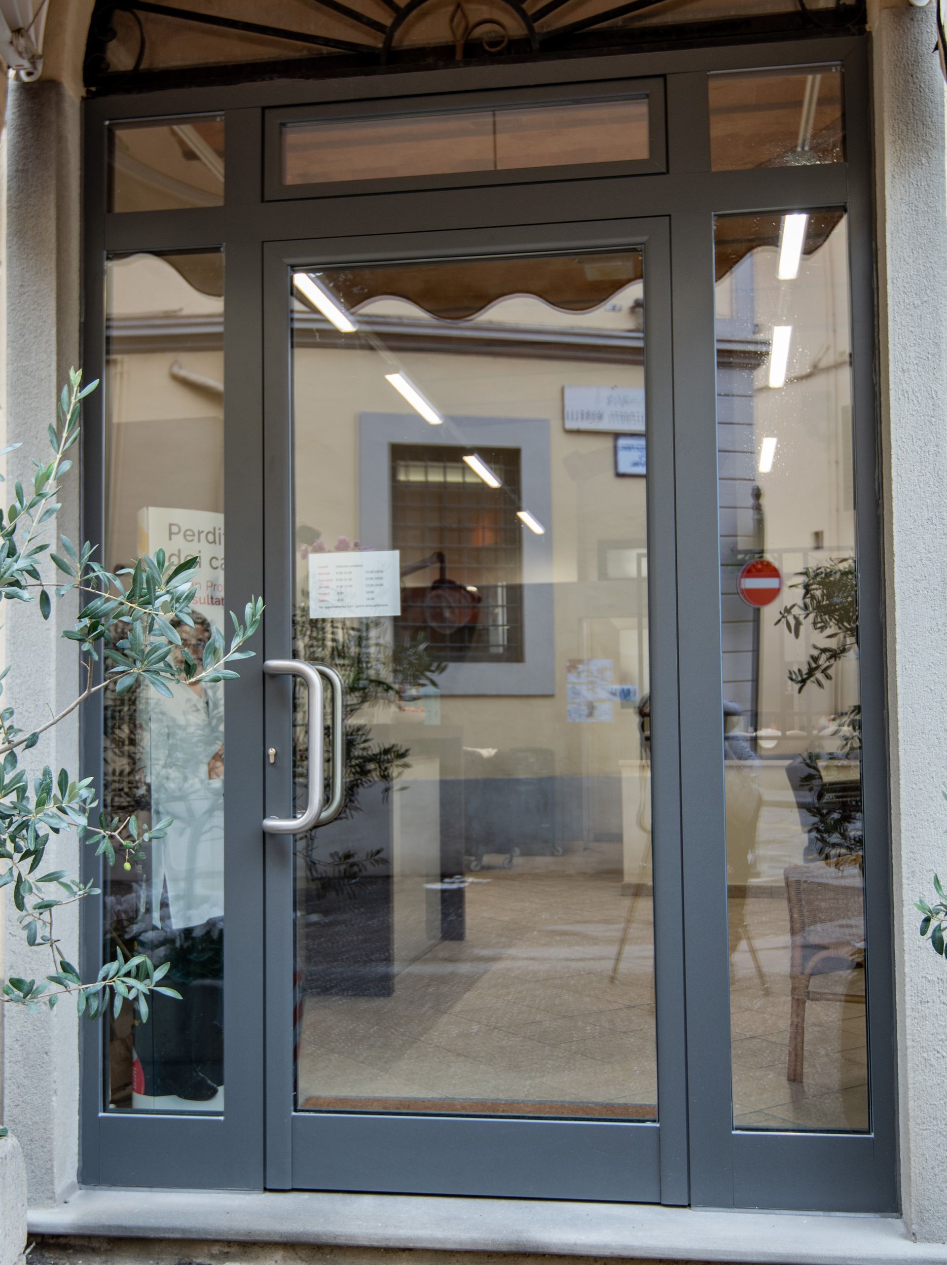Porta in vetro con telaio grigio, che riflette lo spazio interno. Maniglia a sinistra. Piante a sinistra e a destra.