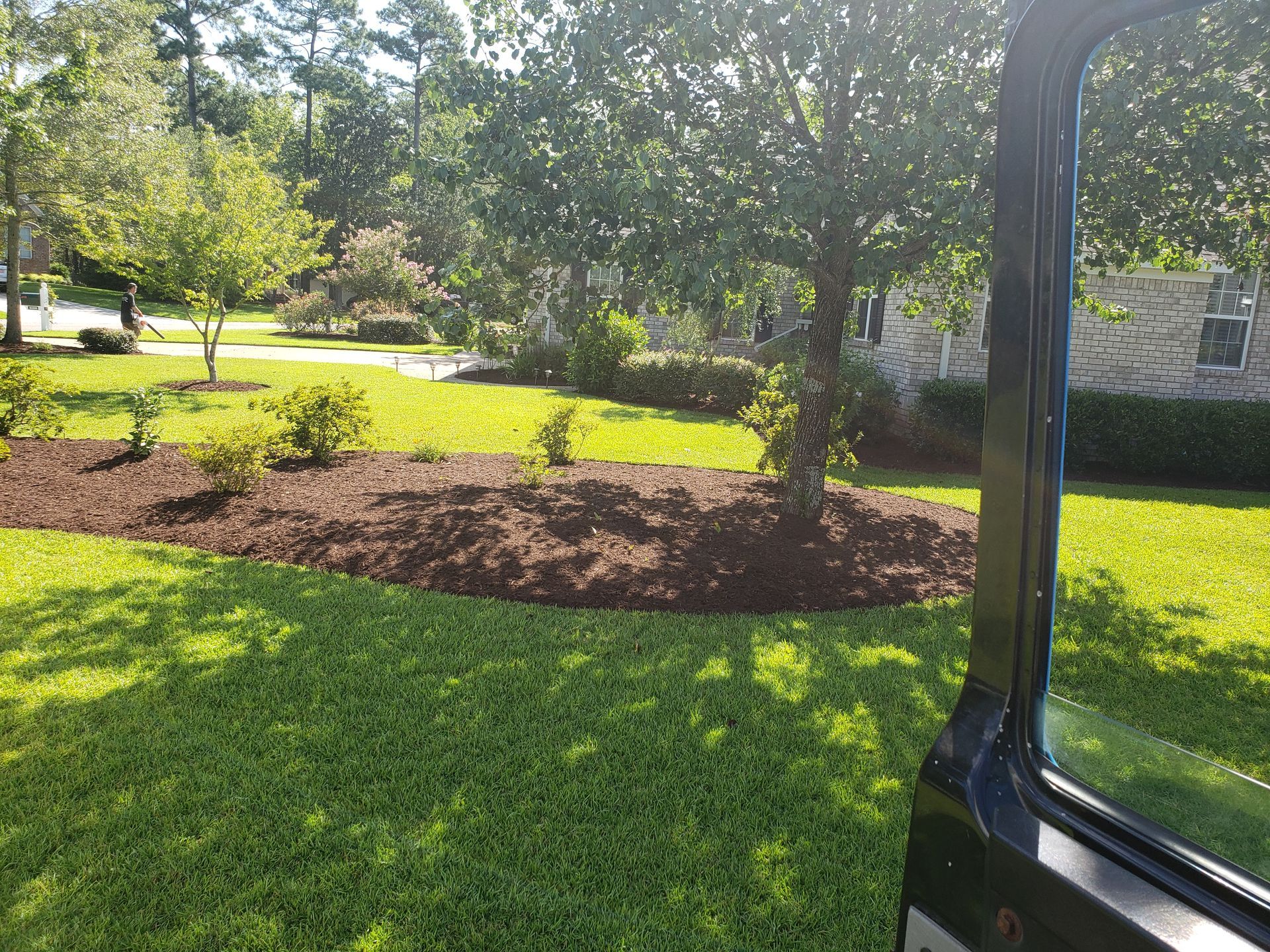 Lawn with brown mulch bed around a tree, viewed from a car. Bright green grass, sunny day.