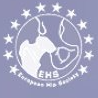 EHS congress, REDEP, Loes van Beers