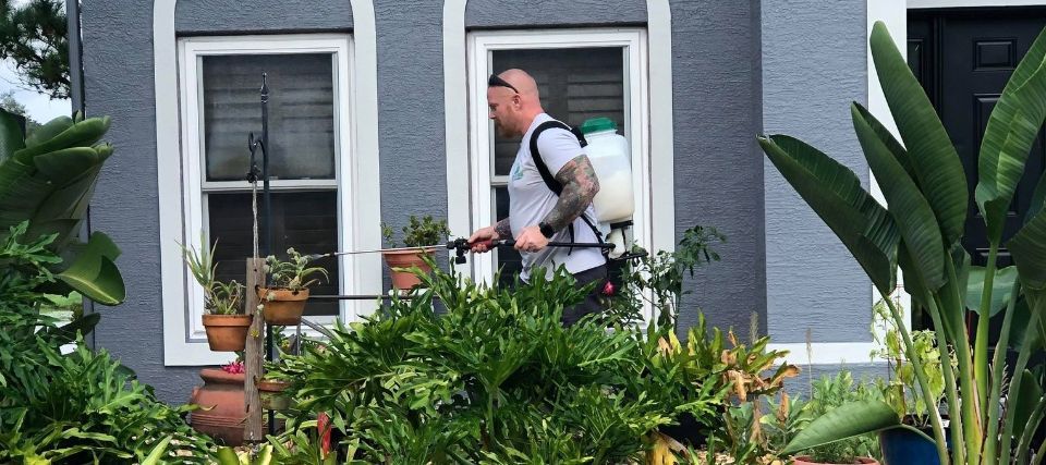 pest control in Florida