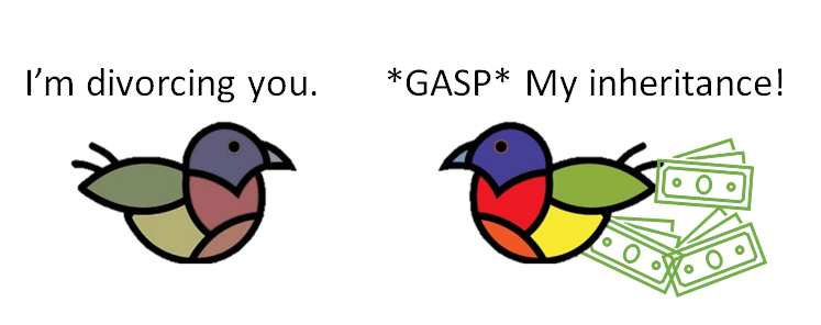 Birds getting divorced