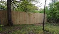 fence