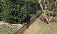 fence