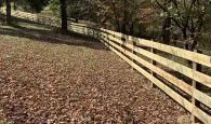 fence