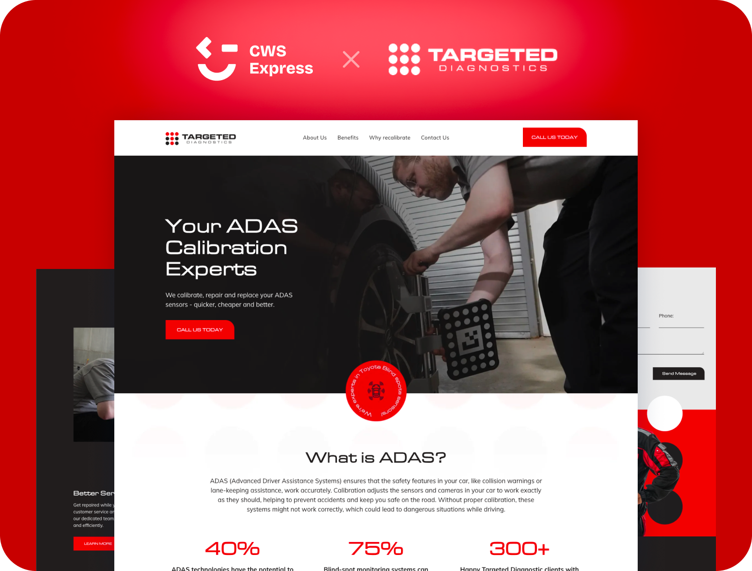 Targeted Diagnostics  project mockup