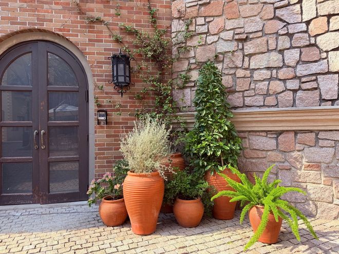 Brick and stone veneer entryway on a home exterior with an arched wood door and potted plants