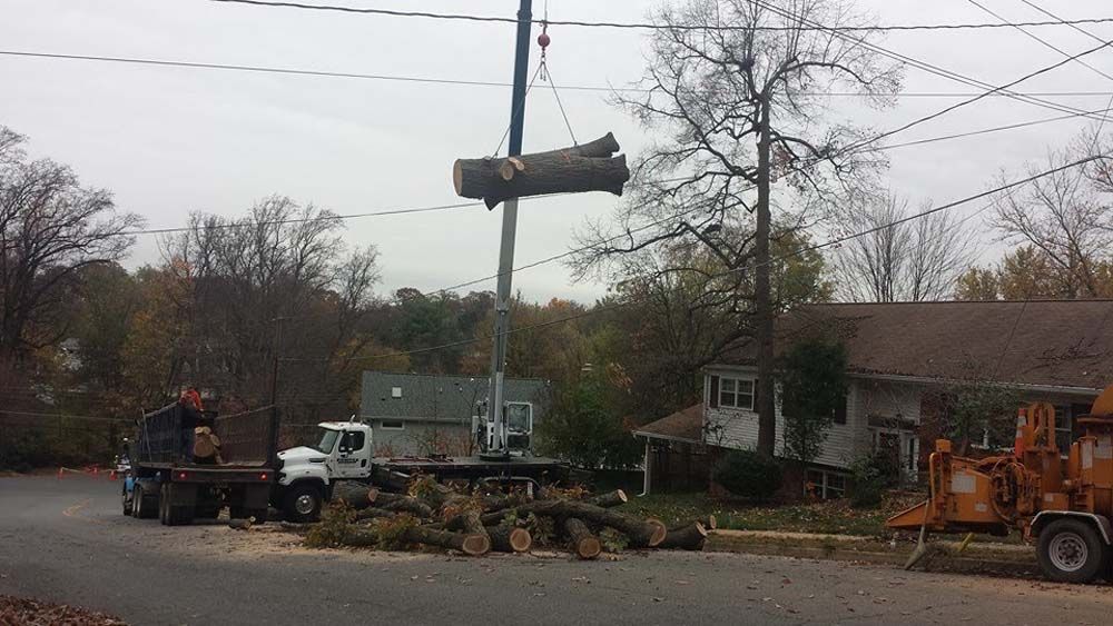 Downed tree being cleared by utility crews on a suburban street, with bucket truck and heavy equipment.