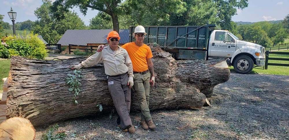 Two people lean on a large felled tree trunk beside a truck in a rural yard.