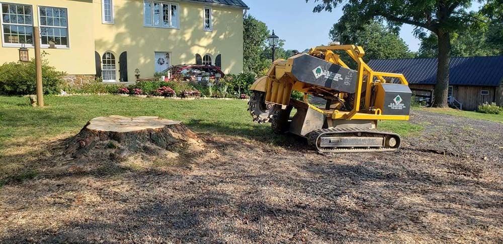 Yellow utility machine on a gravel yard near a house, next to a large tree stump.