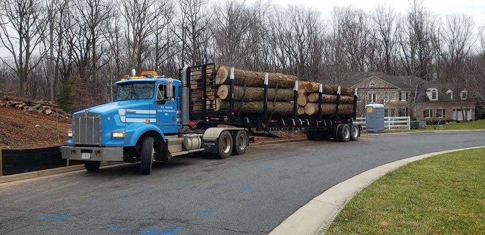 Blue logging truck hauling logs on a road in a wooded area
