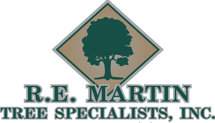 R.E. Martin Tree Specialists, Inc. logo with green tree in a diamond above teal company name