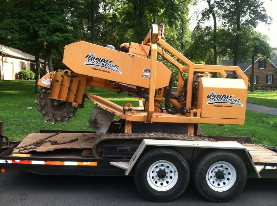 Orange stump grinder on a trailer in a wooded yard