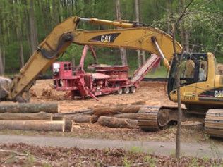 Yellow CAT excavators around a red log-sorting machine in a forest clearing with cut logs.