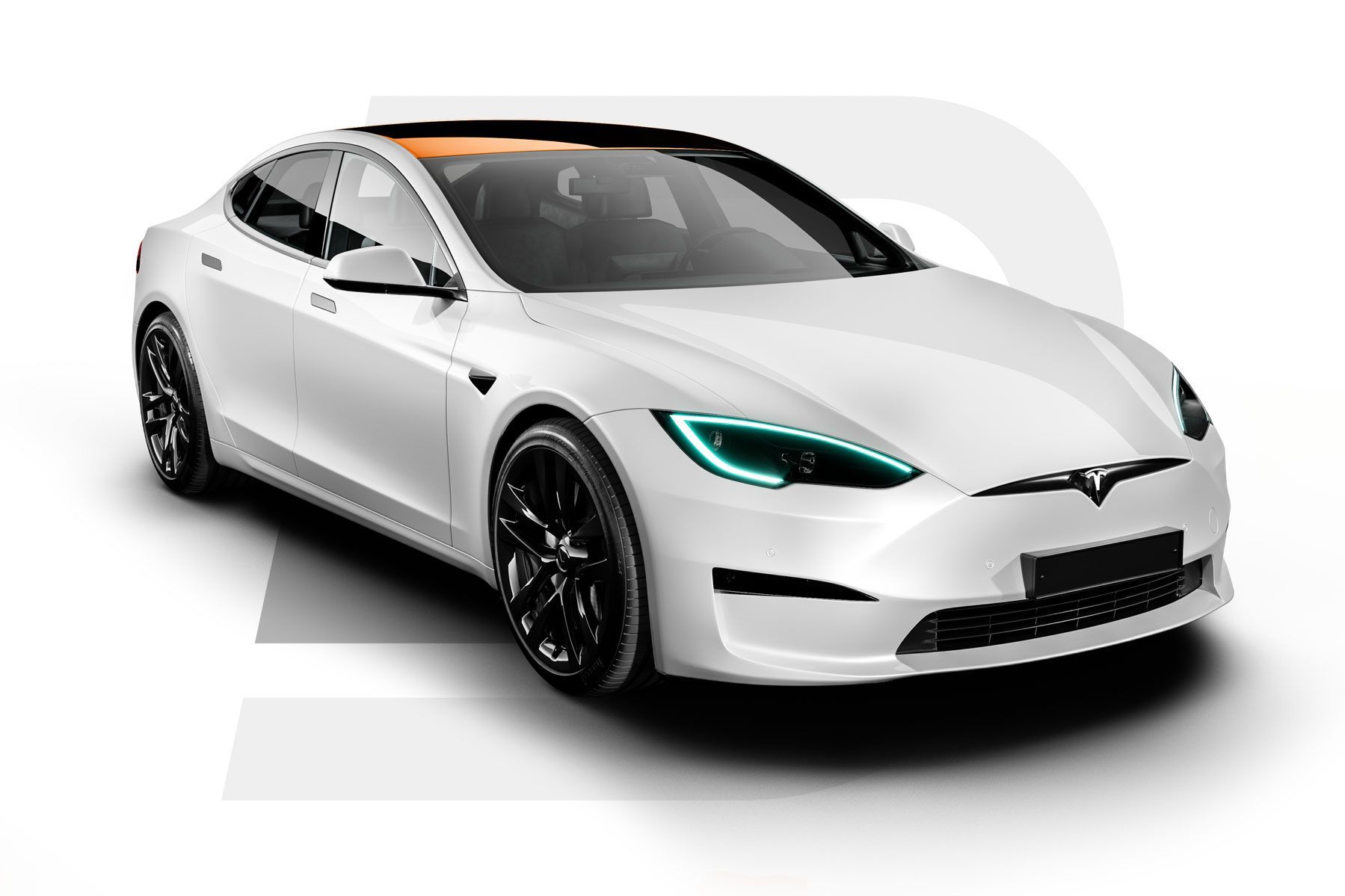 tesla panoramic