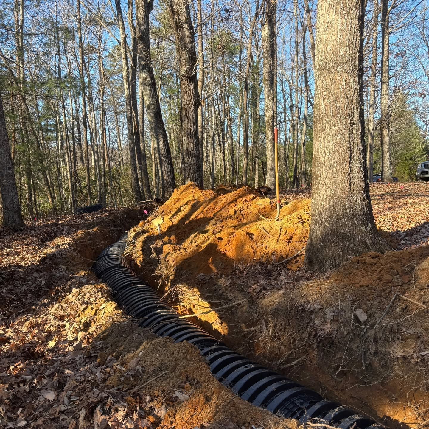 Black corrugated pipe winds through a leaf-covered wooded area beside an orange dirt mound.