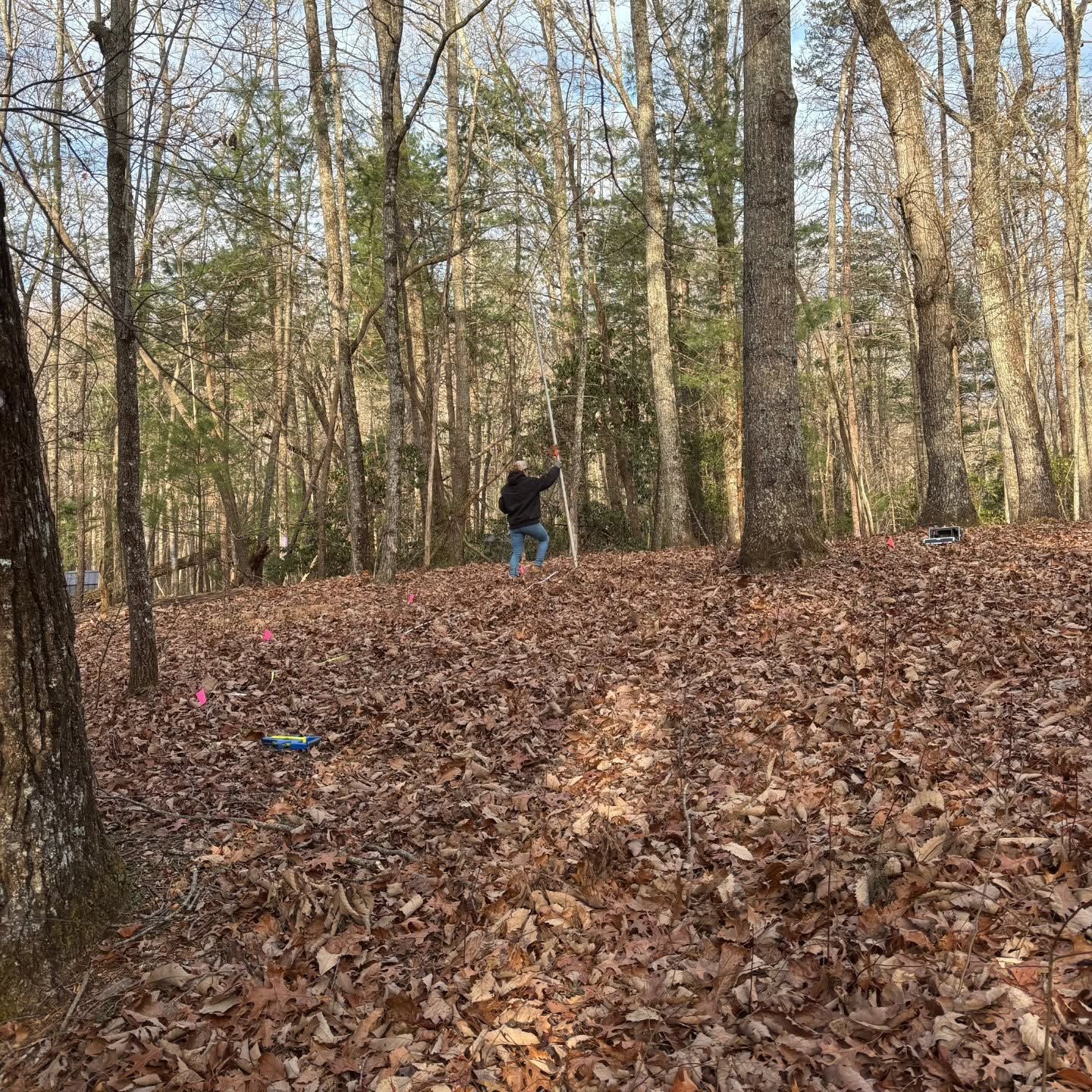 Person walking uphill through a leaf-covered forest, with tall bare trees around them.