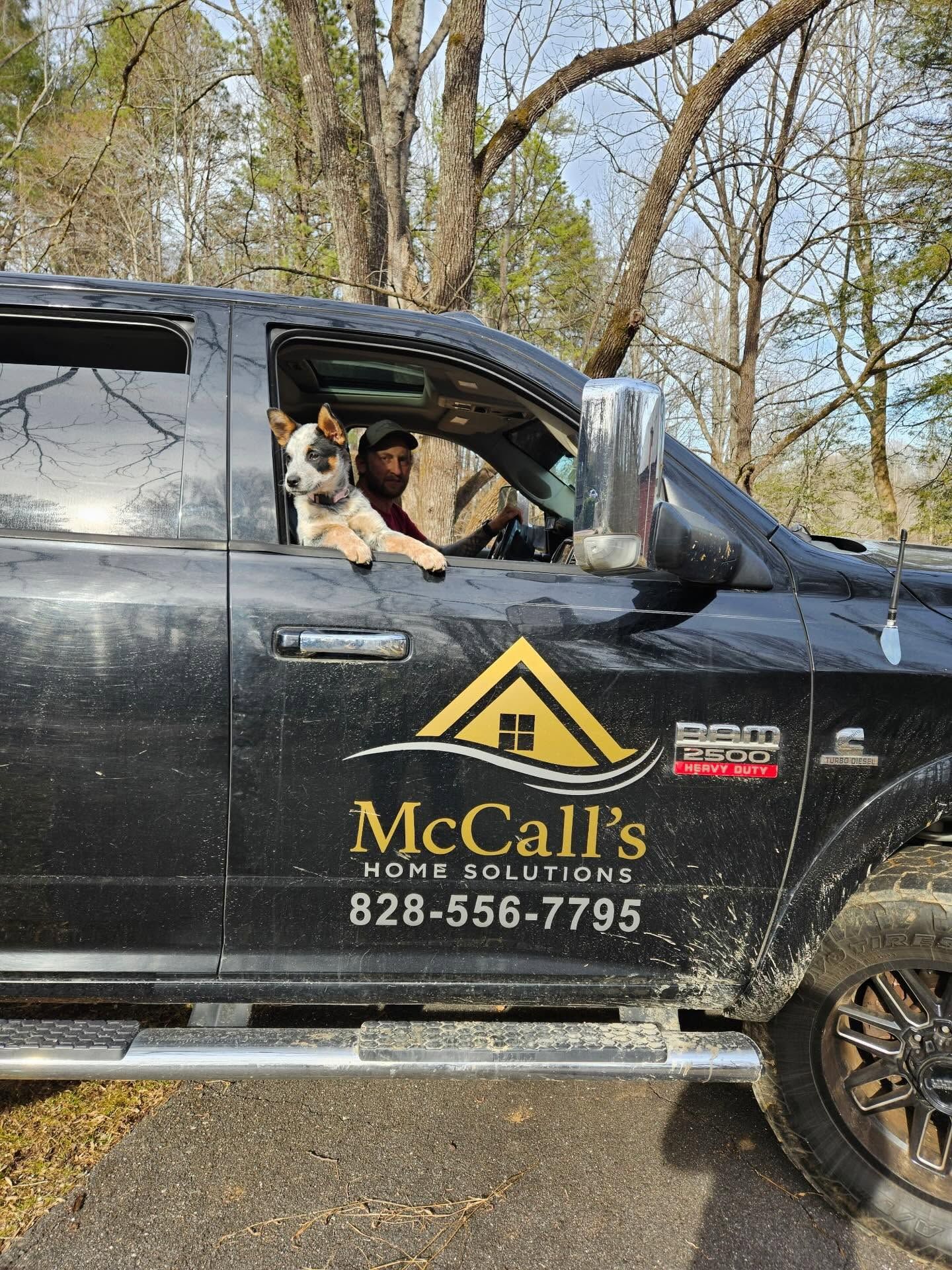 Dog sitting in the driver’s seat of a black McCall’s construction truck parked by trees
