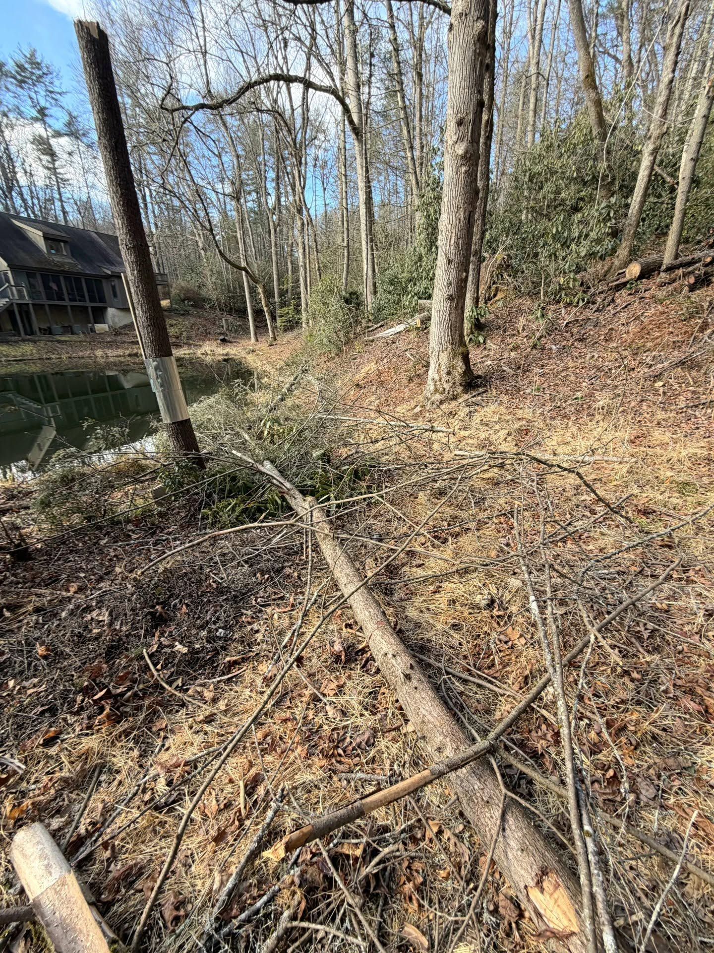 Leaf-strewn wooded path beside a fence and small cabin on a sunny winter day