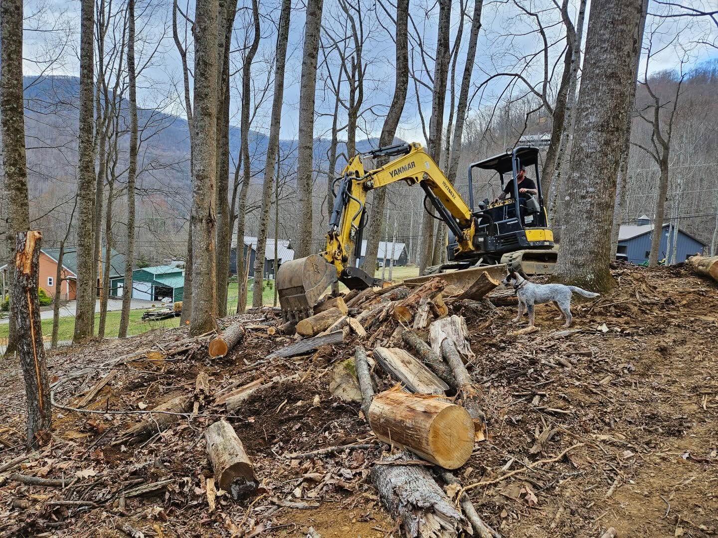 Yellow excavator clearing a wooded hillside with logs and debris, mountains in the background