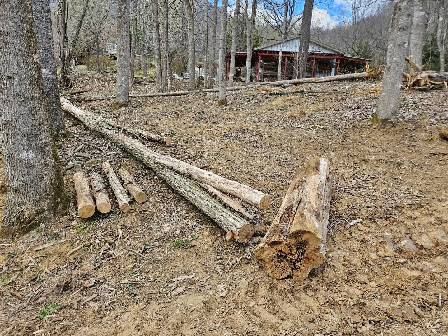 Stacked logs in a wooded area near a cabin on a leaf-covered hillside