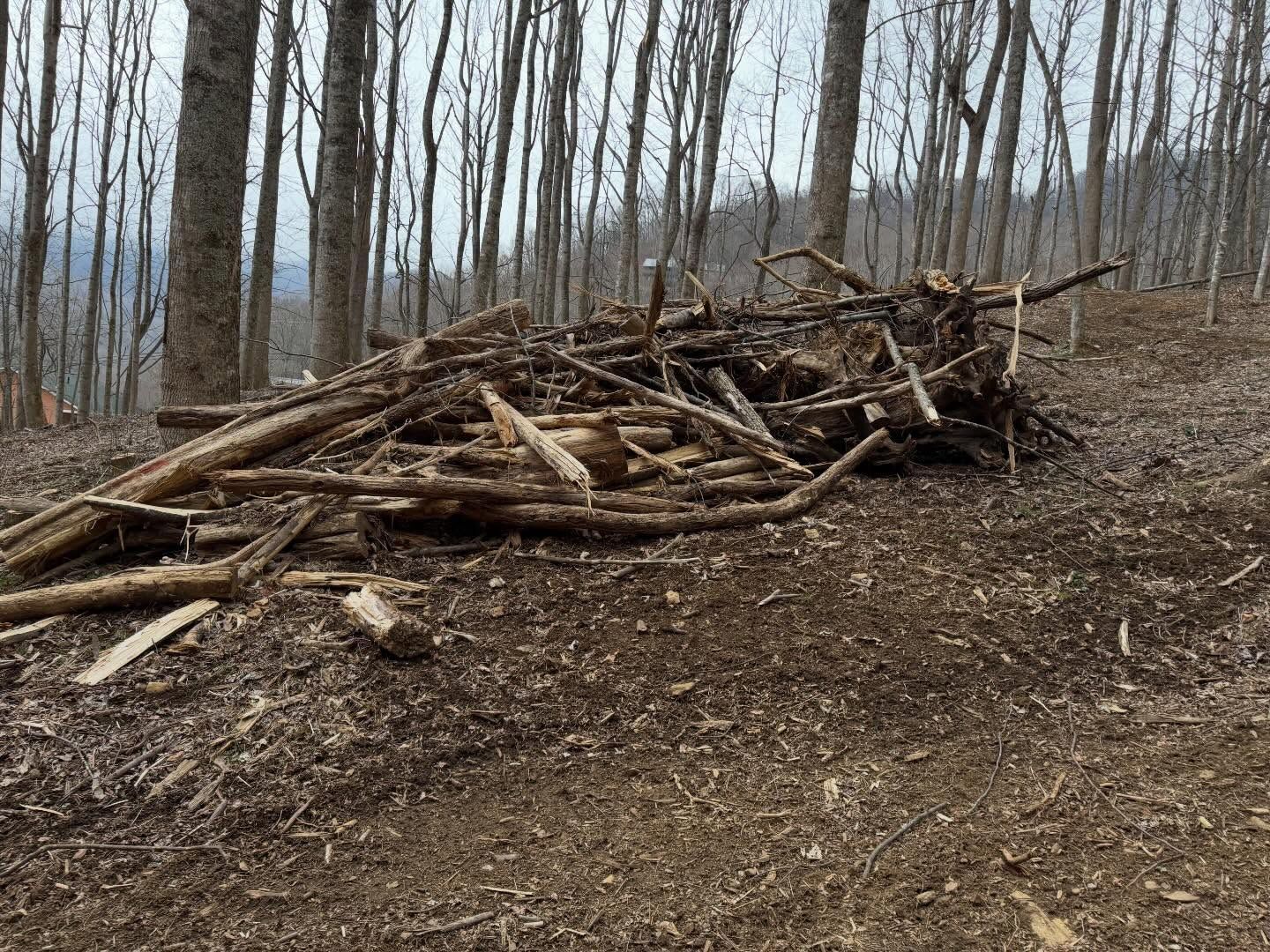 Pile of fallen tree branches and logs on a wooded hillside near a lake.