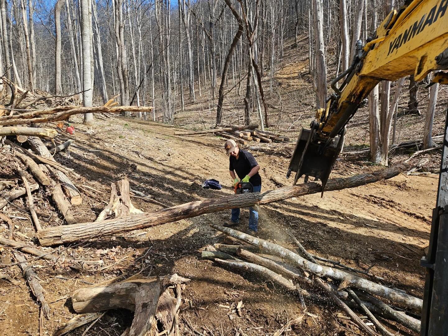 Person loading logs beside an excavator in a wooded clearing