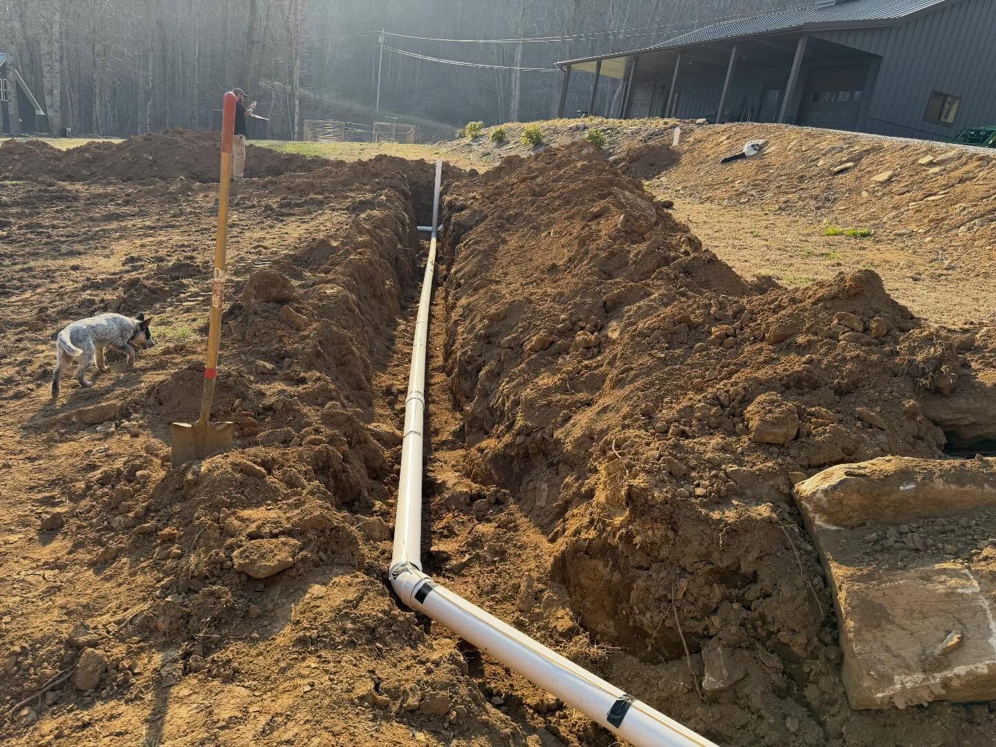Trench with white PVC pipe laid in dirt beside a house, with a small dog nearby.