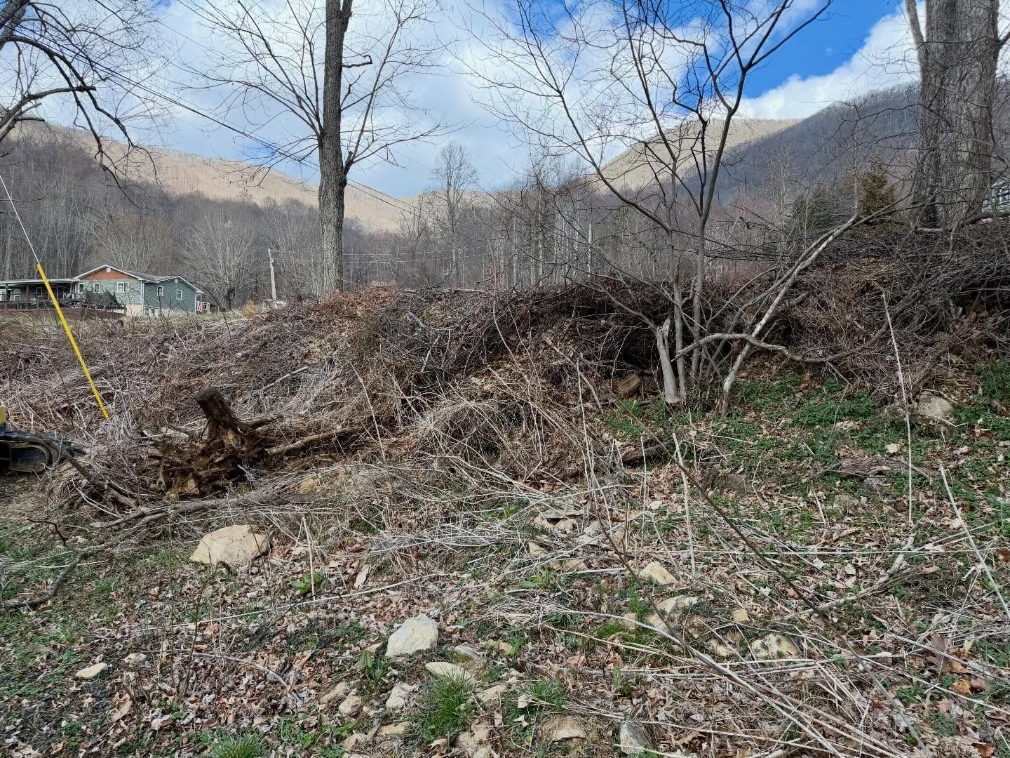 Brush pile and bare trees in a rural field with mountains in the background under a blue sky