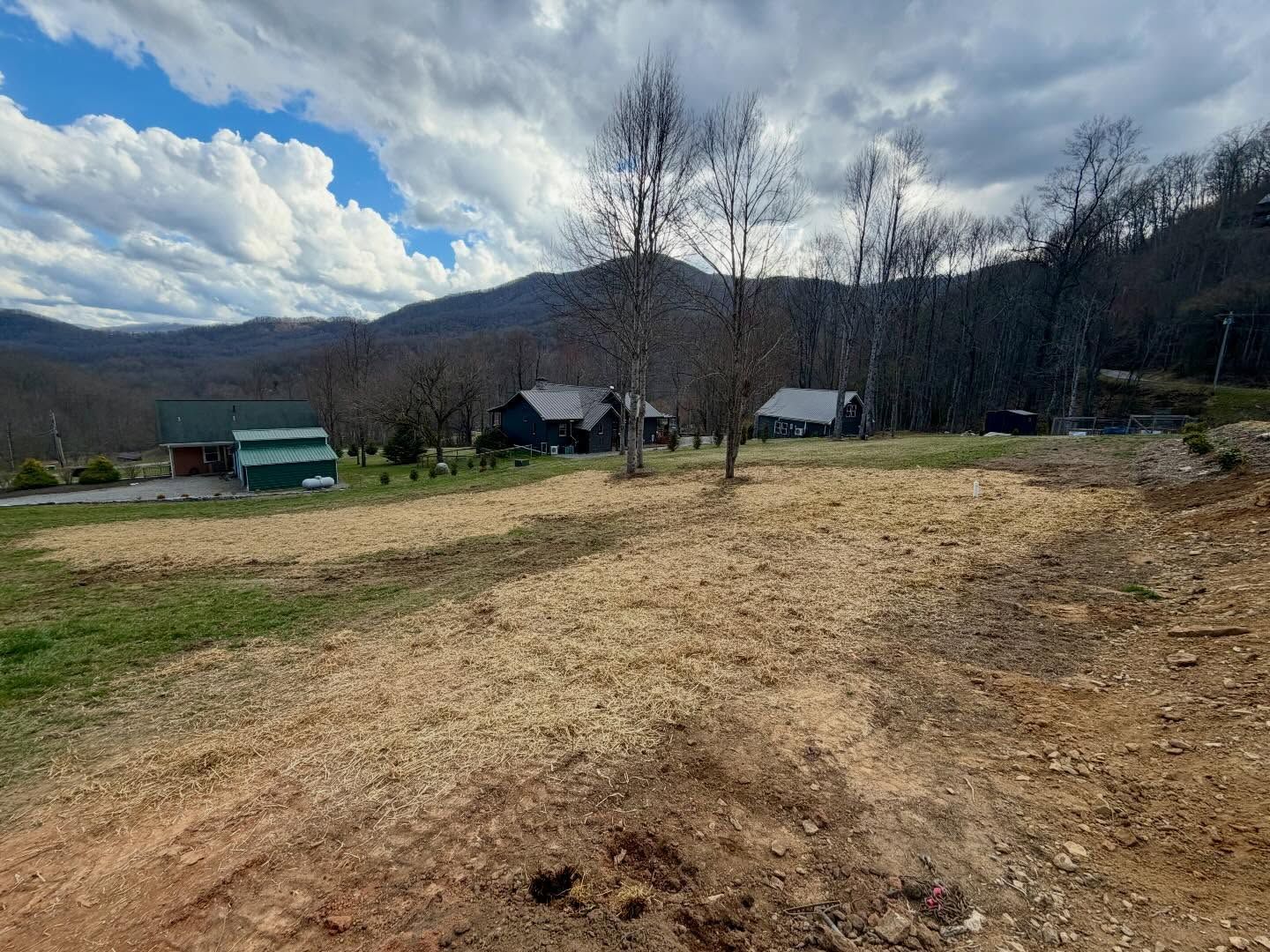Wide rural hillside with bare trees, small cabins, and a cloudy sky over a patchy field