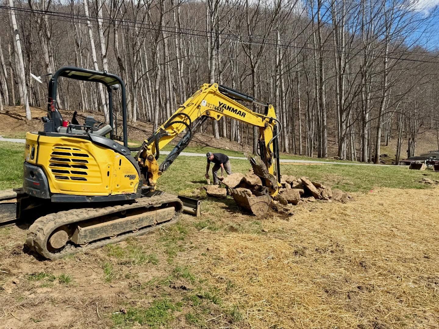 Yellow excavator digging up roots in a grassy yard beside leafless trees