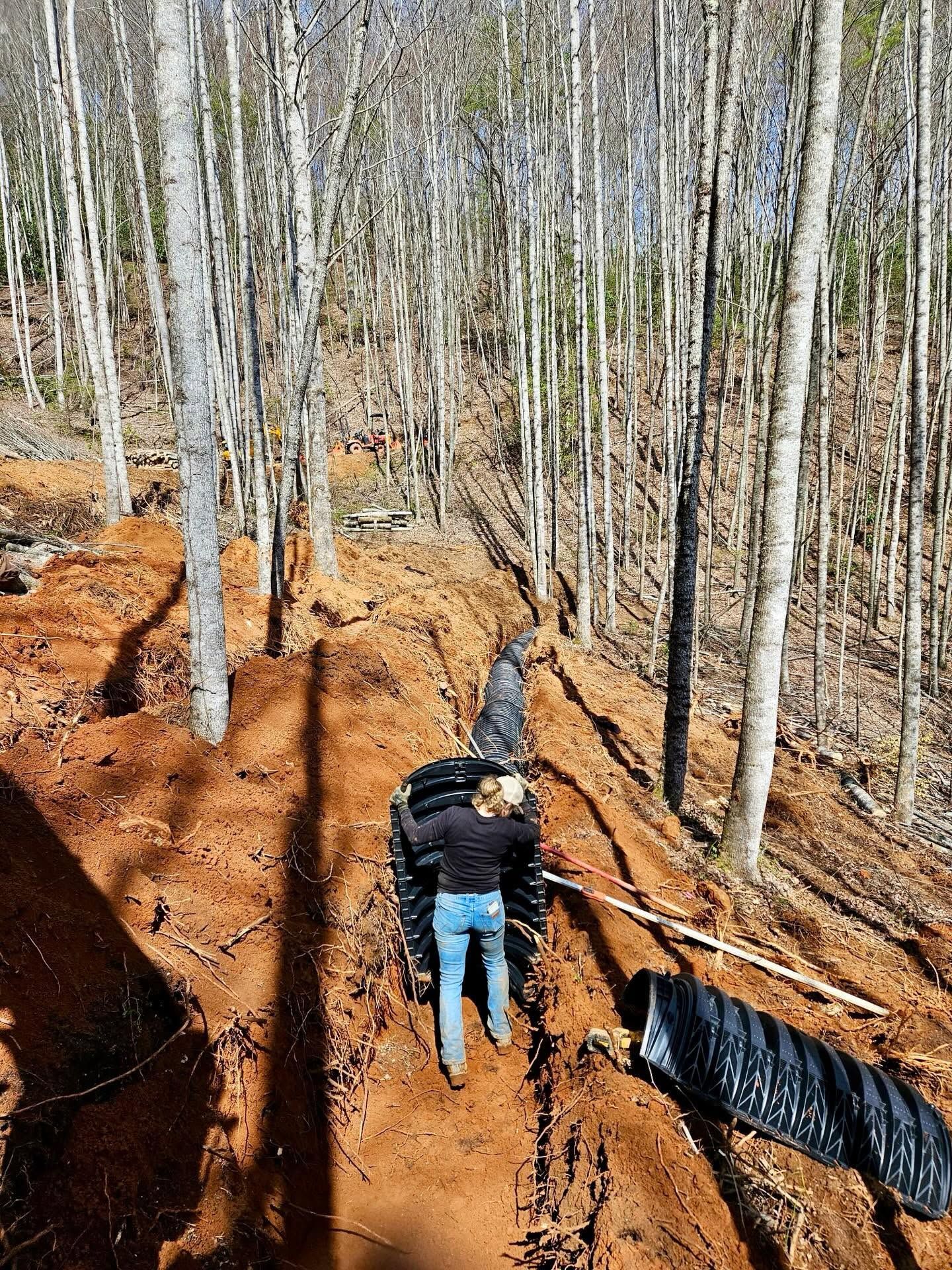 Person hiking down a muddy forest trail between bare trees.