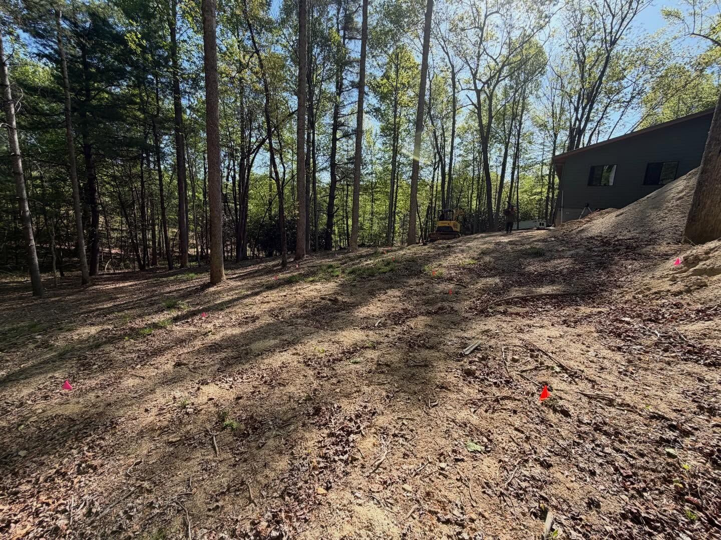 Wooded hillside with sparse trees, dry leaves, and a small red marker near a house at right