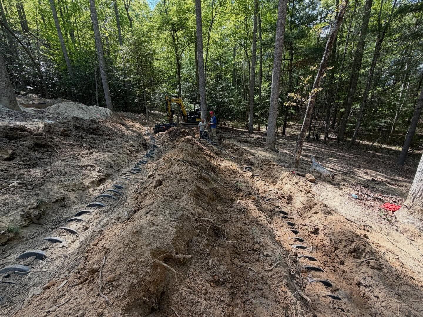 Mud path through a wooded area with a person on an excavator in the background