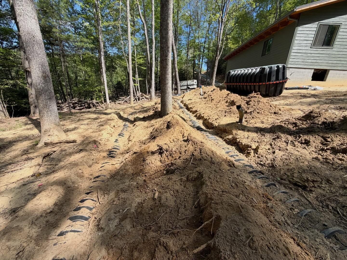 Dirt path through a wooded yard beside a white house, with fresh earth mounds and tire tracks