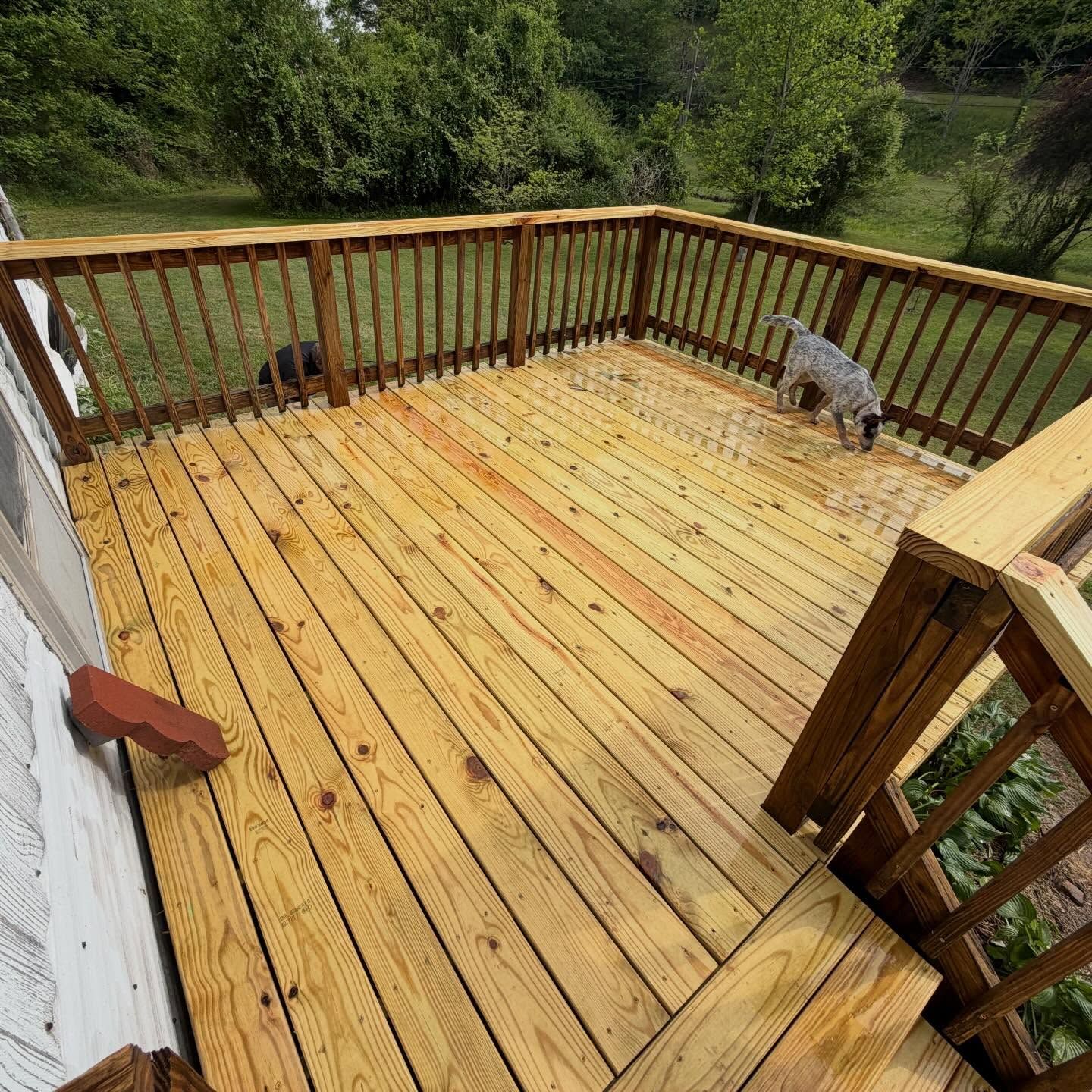 Wooden deck with railings overlooking a yard, with a gray cat near the corner.