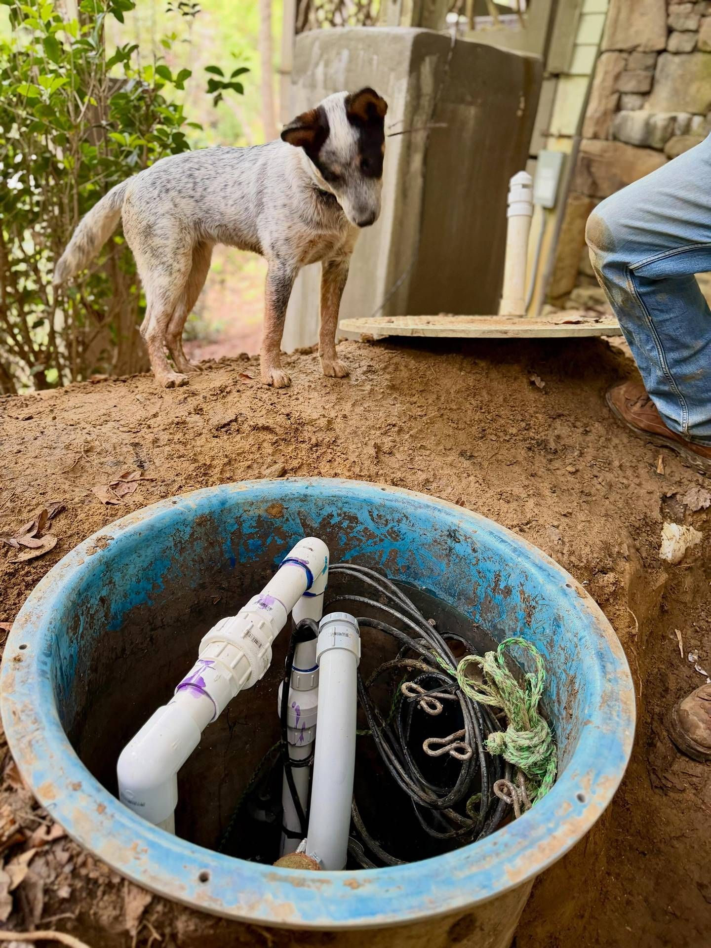 Blue utility pit with white pipes in dirt, a dog standing nearby, and a person digging beside a house.