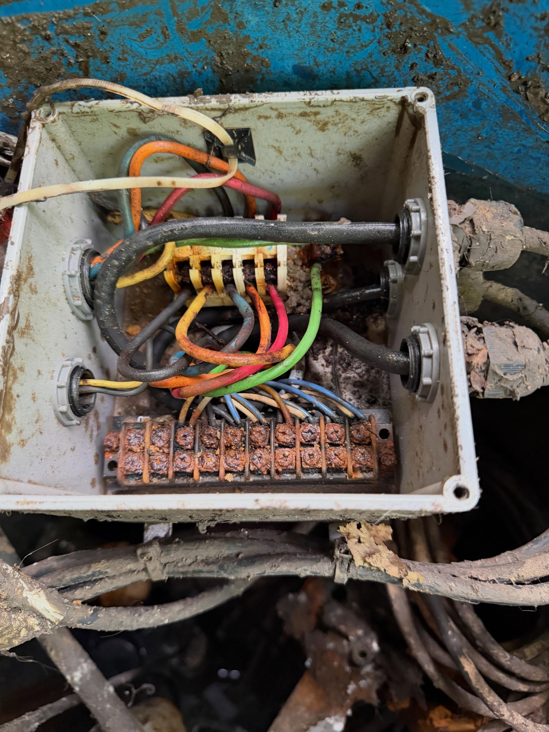Open electrical junction box with tangled colored wires and rusted connectors on a blue surface