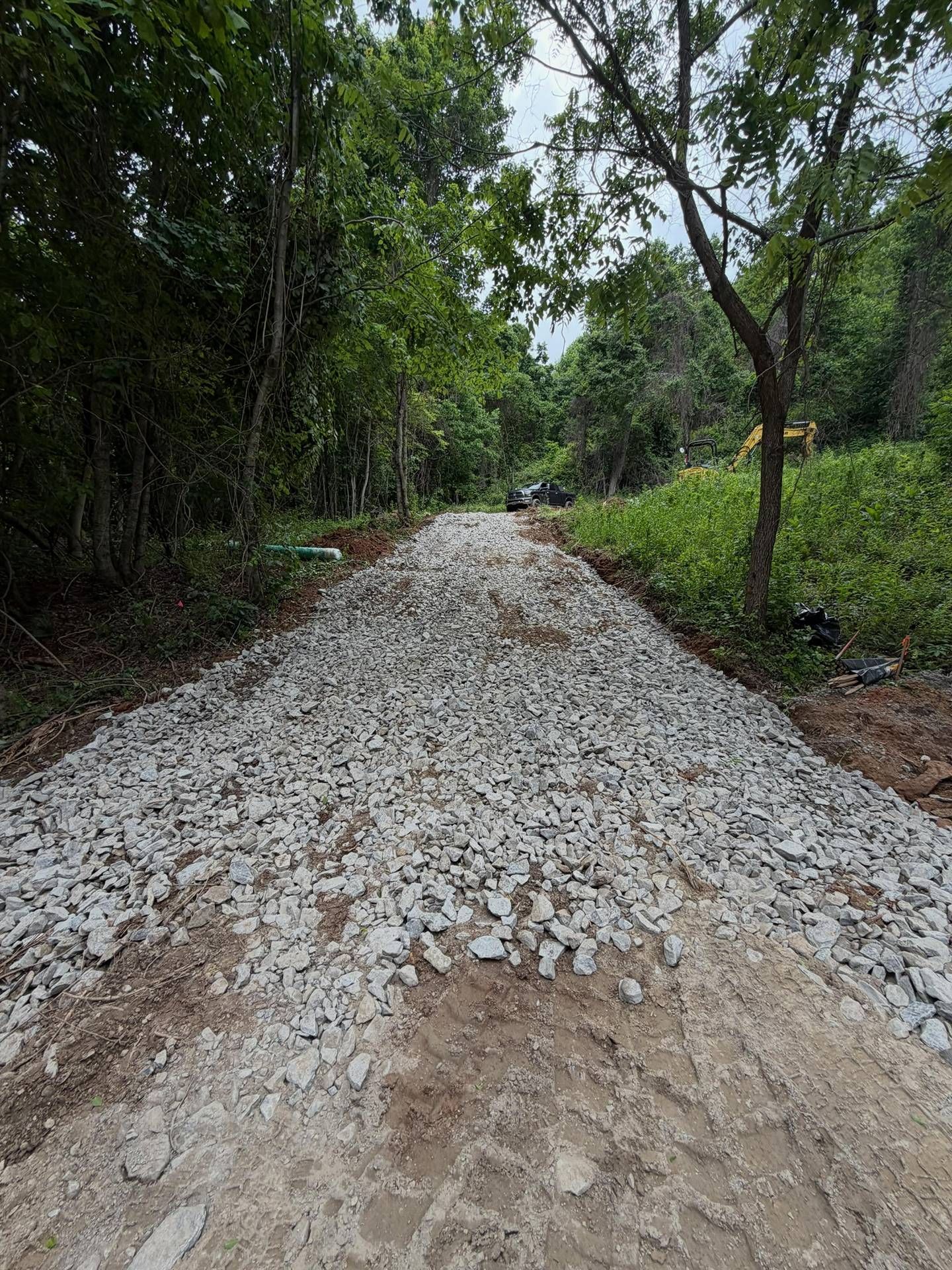 Rocky dirt road winding through dense green trees and vegetation
