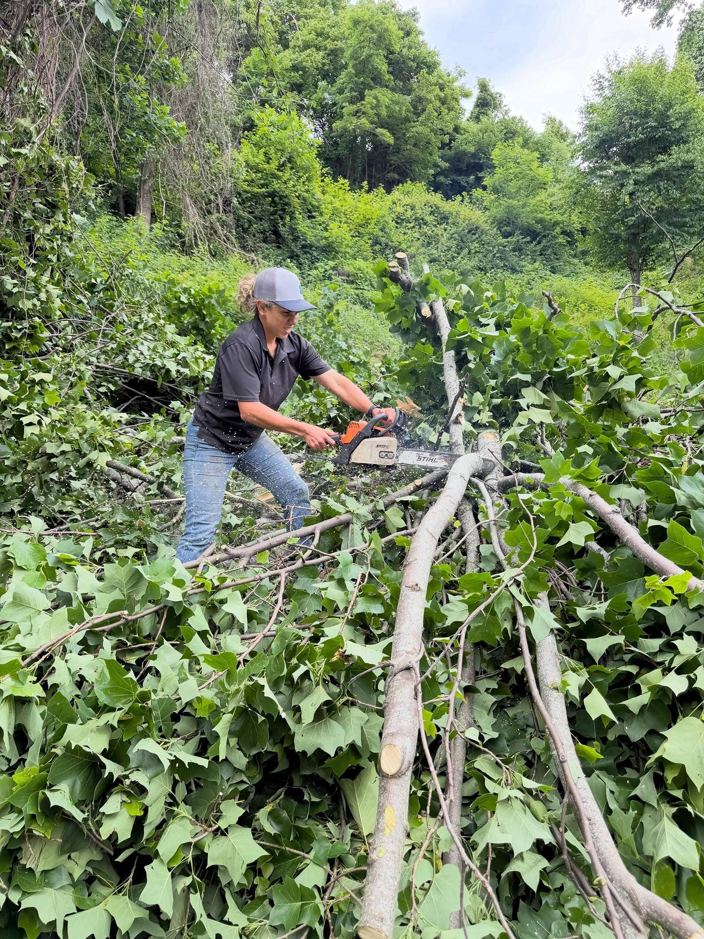 Person cutting branches in dense green forest with a chainsaw