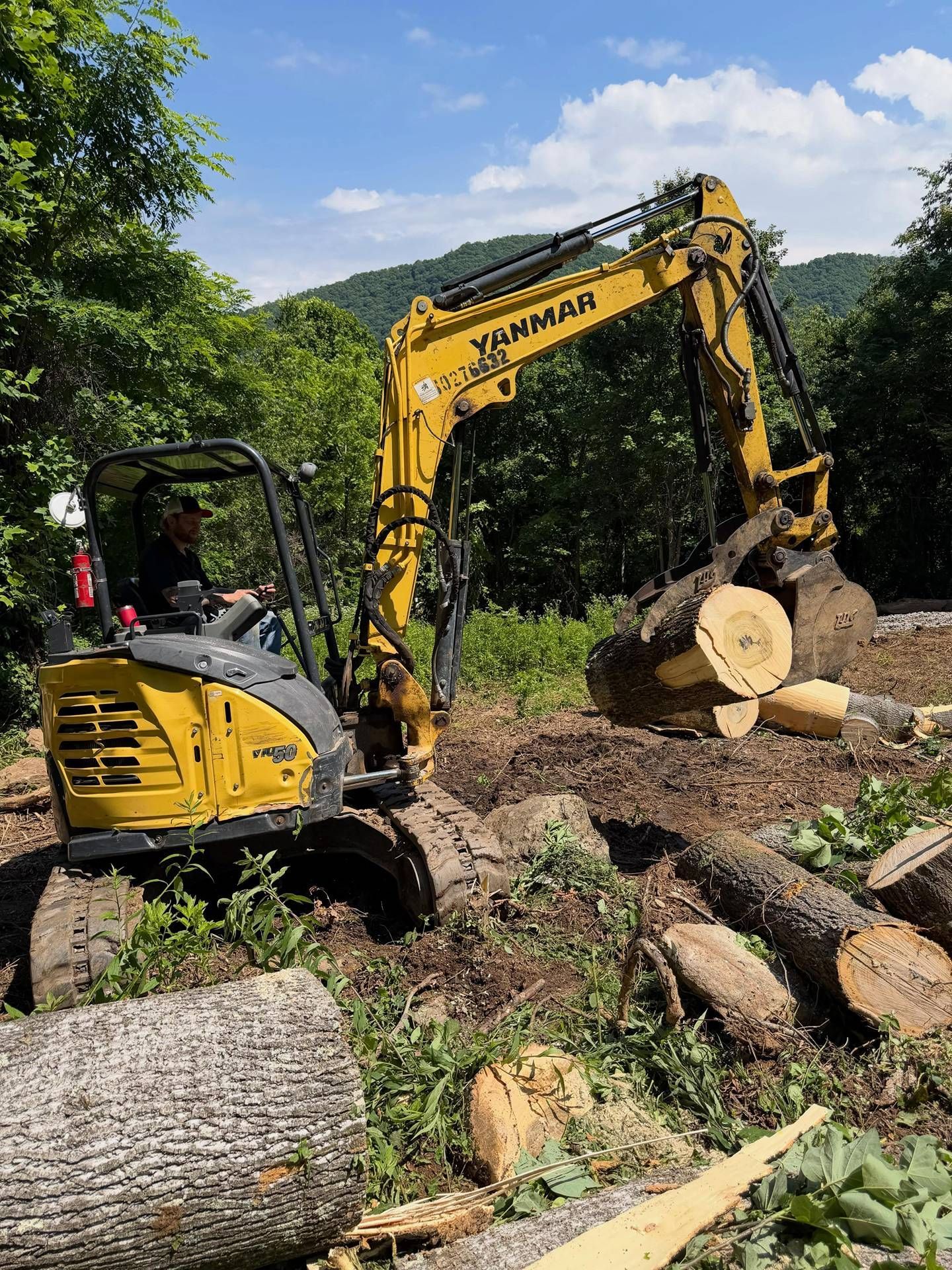 Yellow excavator loading cut logs in a wooded clearing on a sunny day