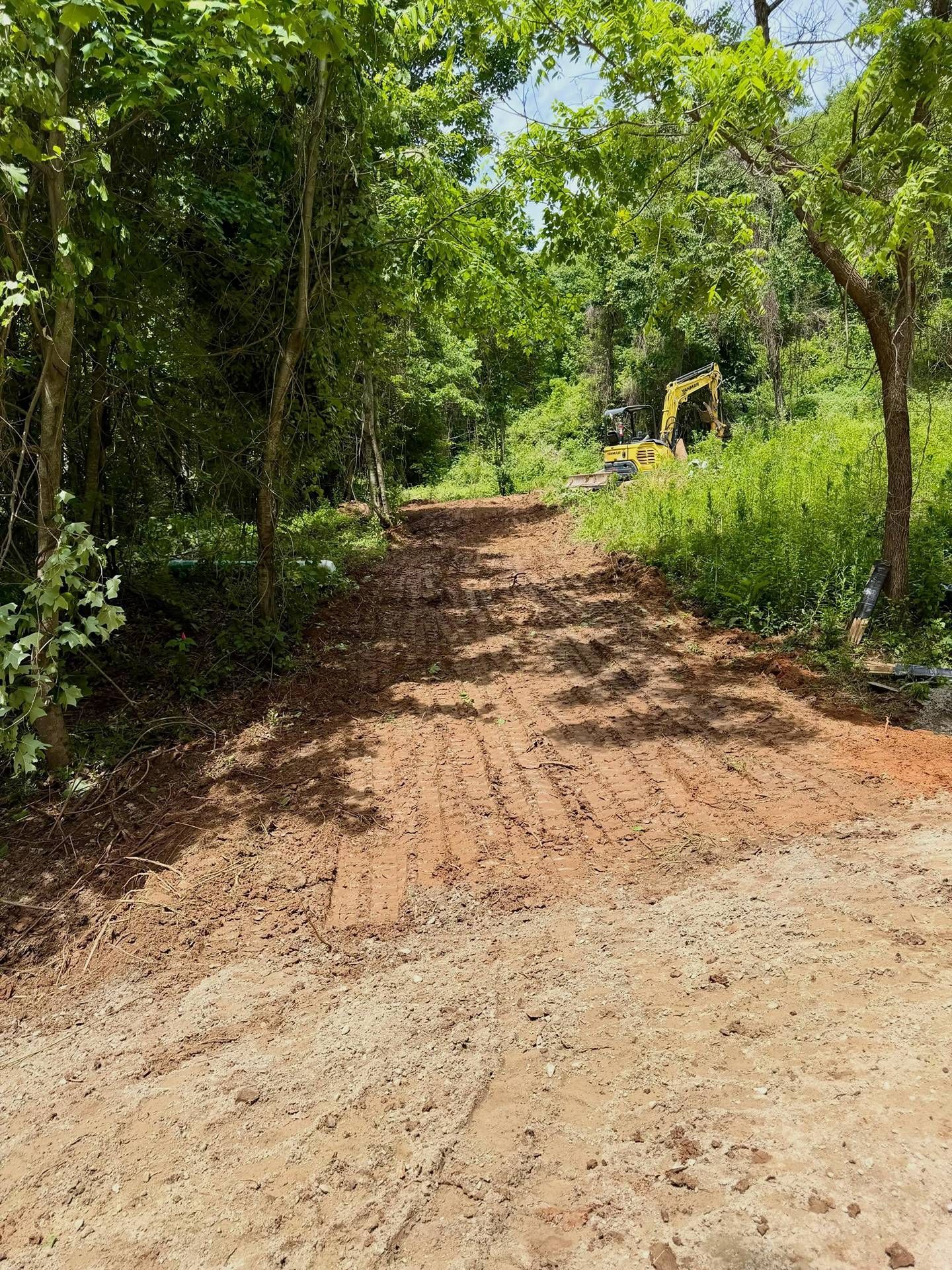 Dirt path through a lush green wooded area under bright sunlight