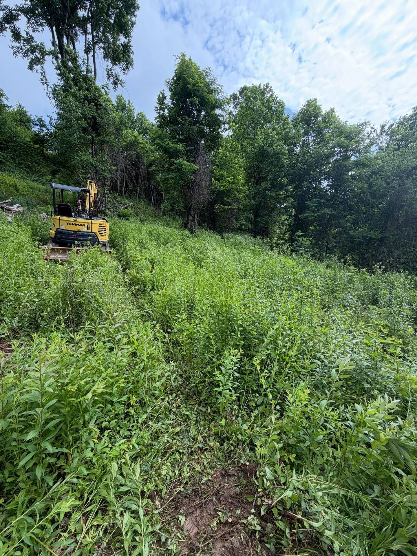 Yellow excavator in a dense green field with trees under a partly cloudy sky
