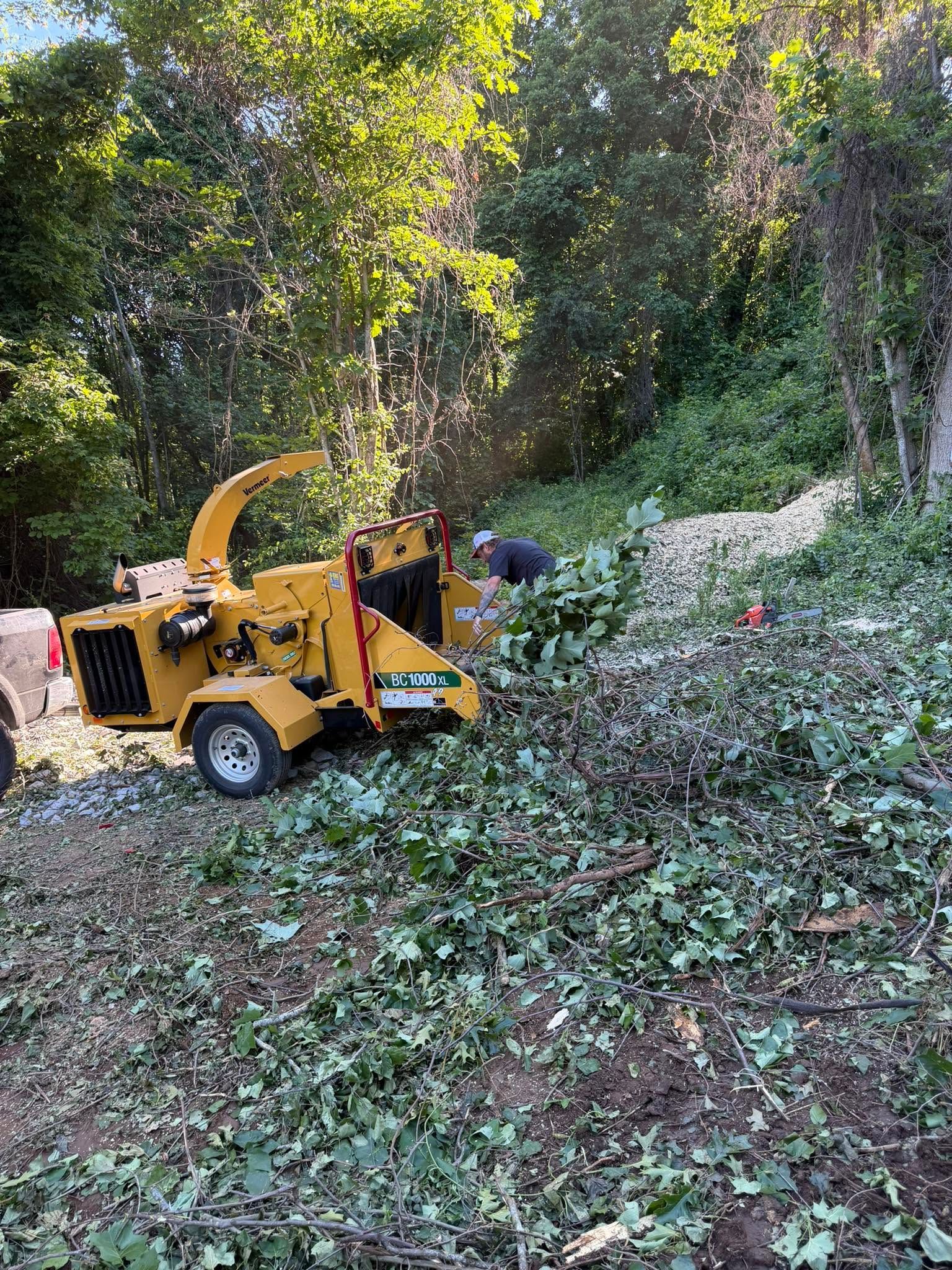 Yellow wood chipper clearing brush in a wooded area, with fresh cut branches piled nearby