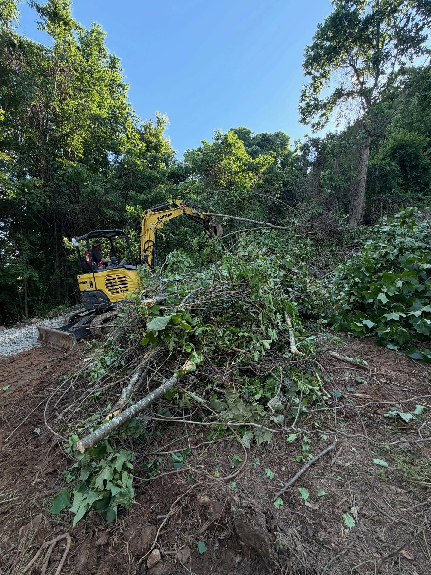 Yellow excavator clearing brush on a wooded hillside under a blue sky.